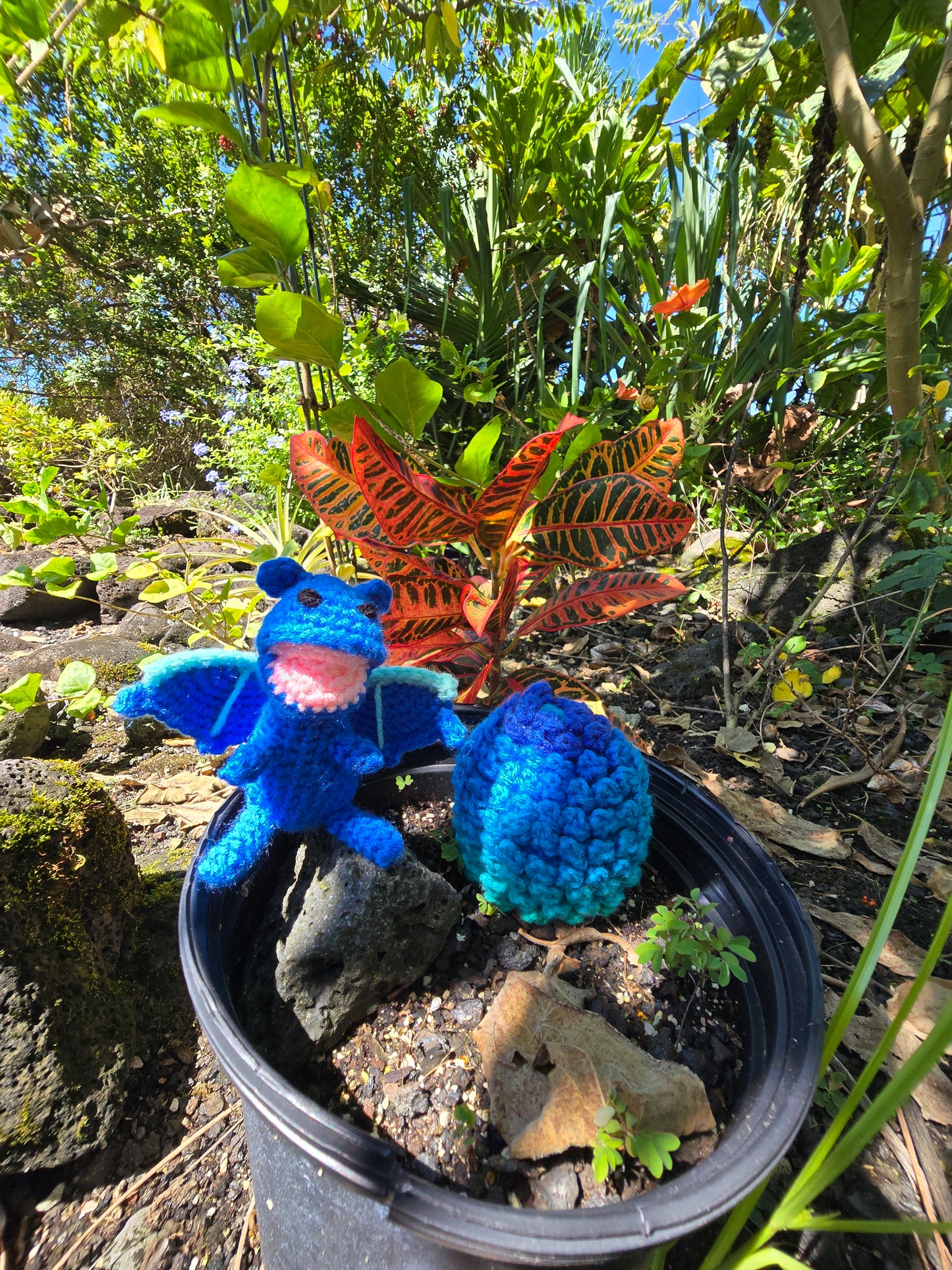 Baby Dragon with Egg