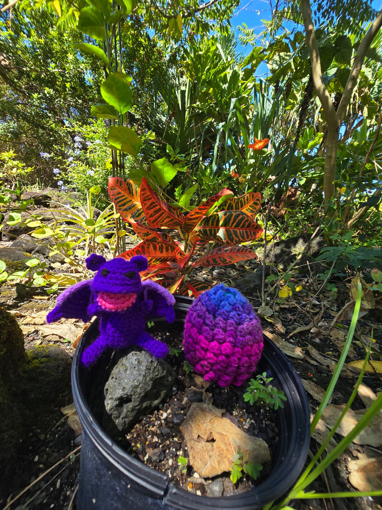 Baby Dragon with Egg