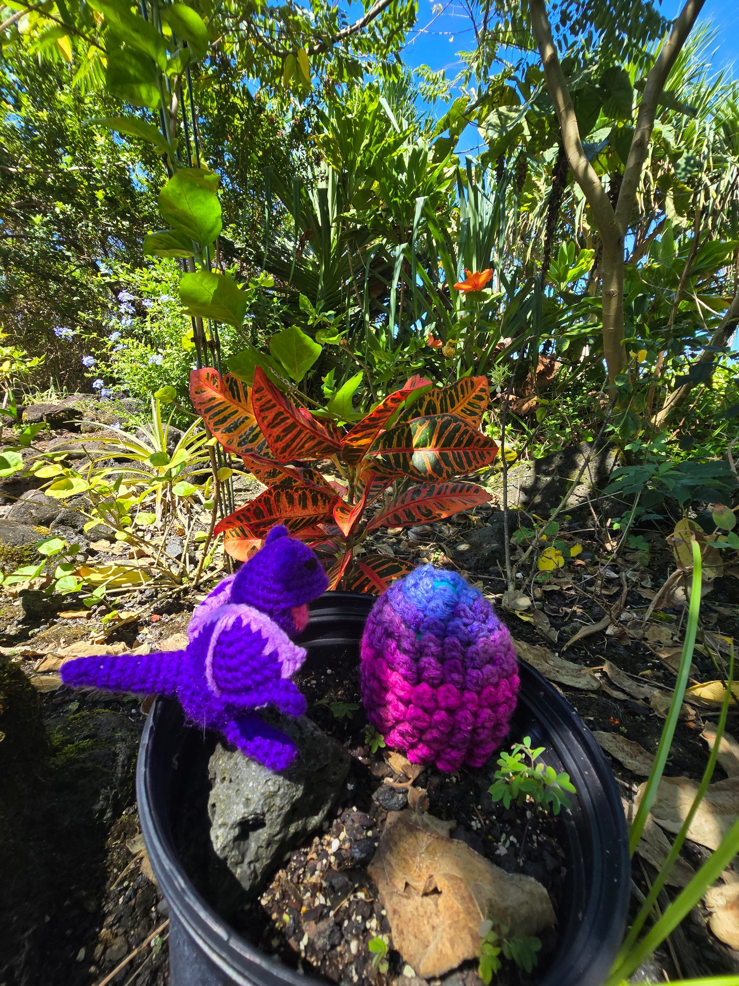 Baby Dragon with Egg