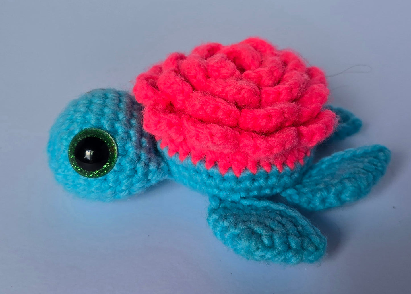 Small Turtle
