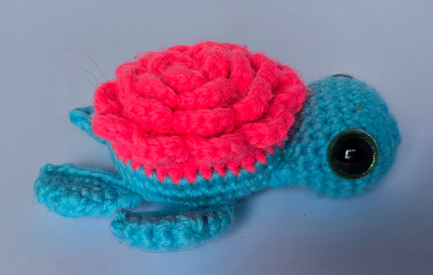 Small Turtle