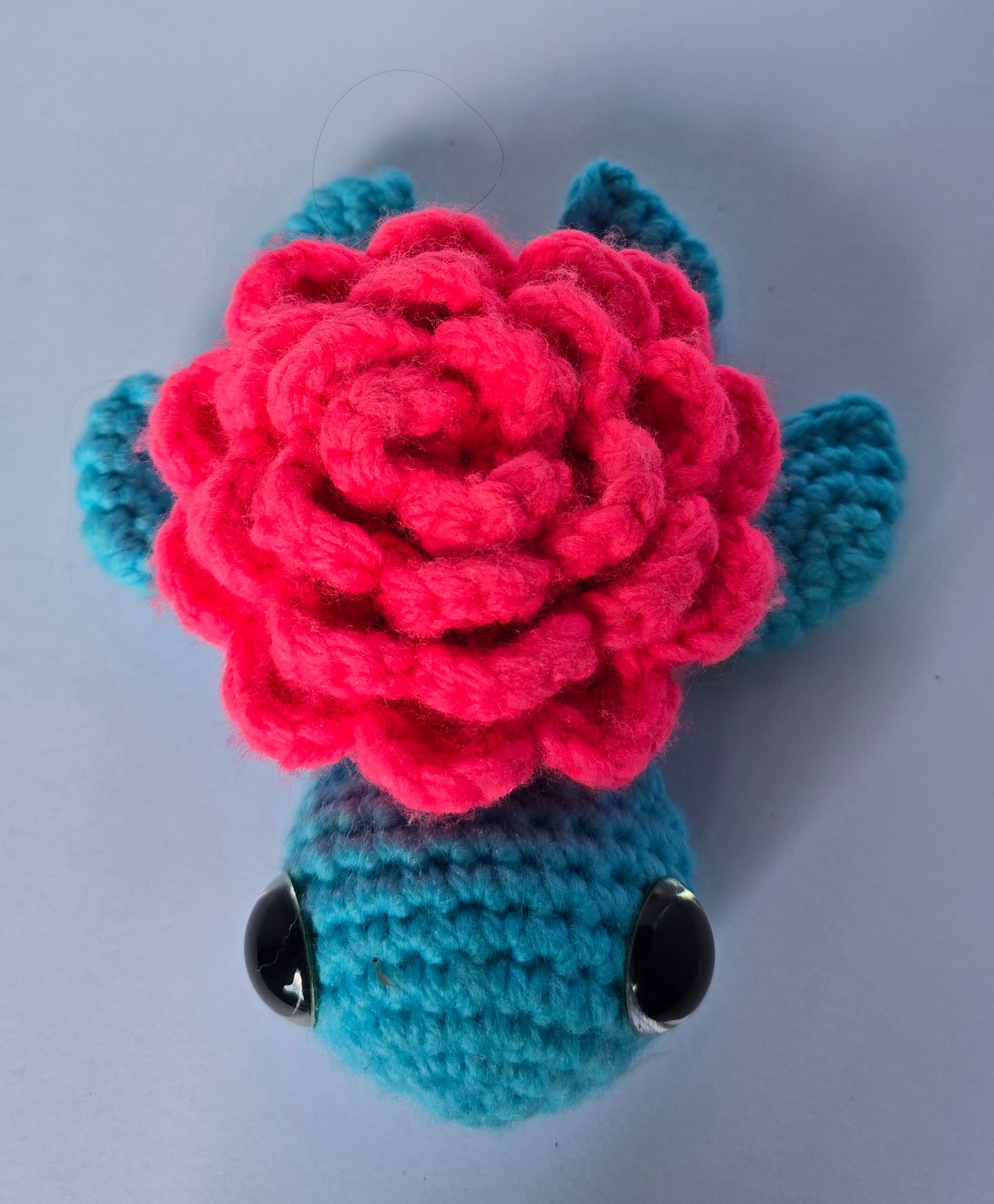 Small Turtle