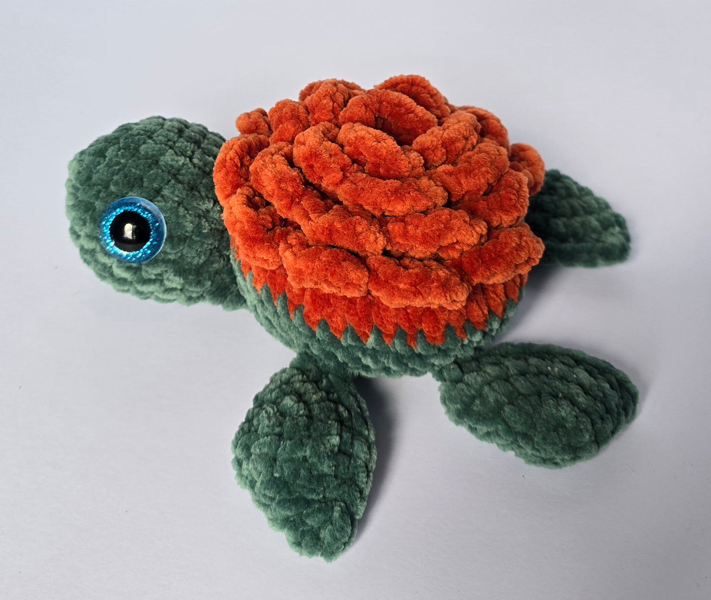 Medium Turtle