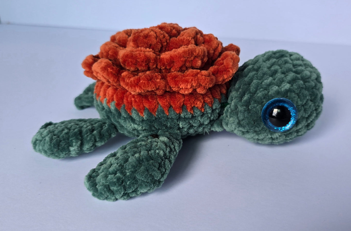 Medium Turtle