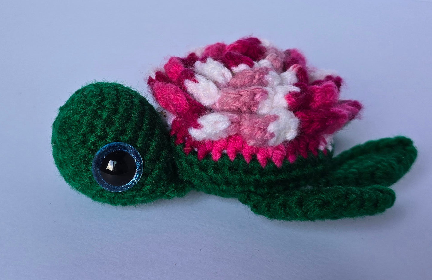 Small Turtle