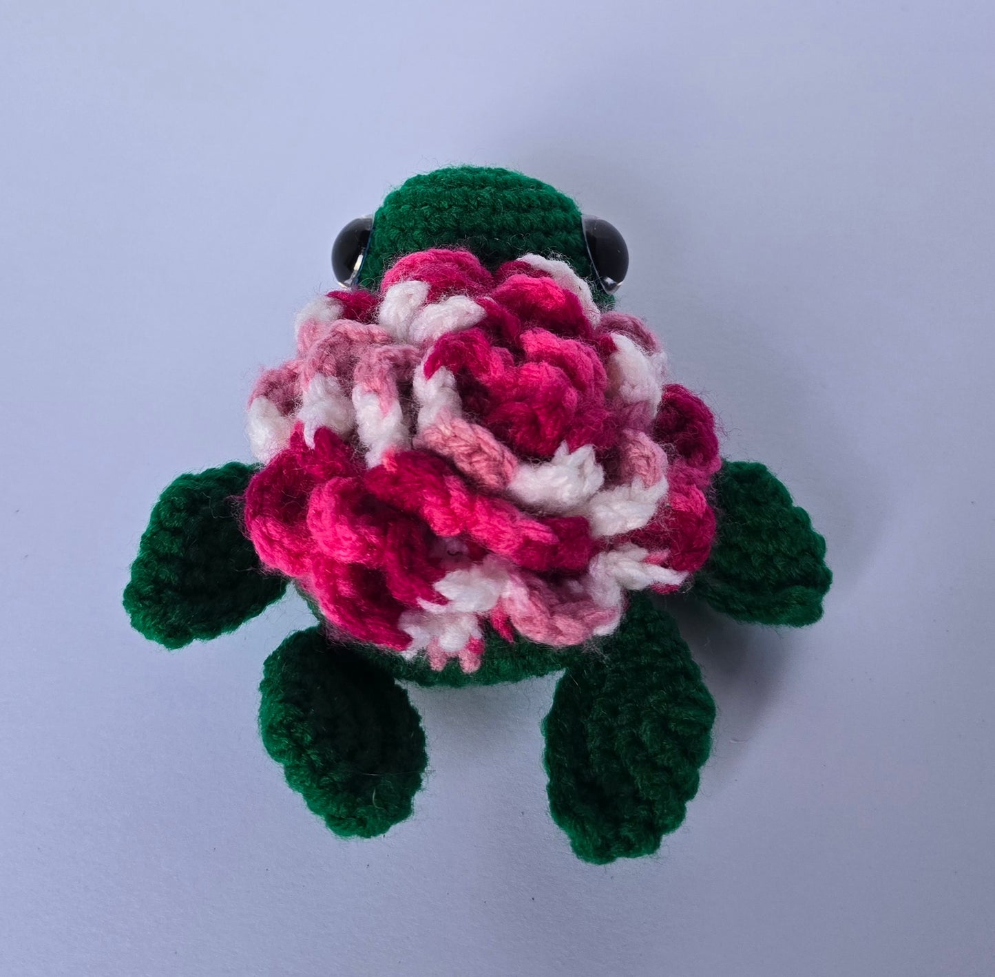 Small Turtle