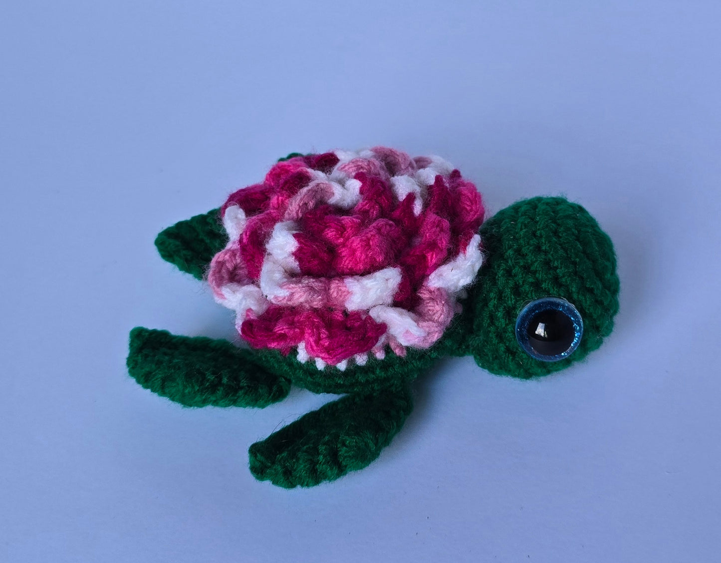 Small Turtle