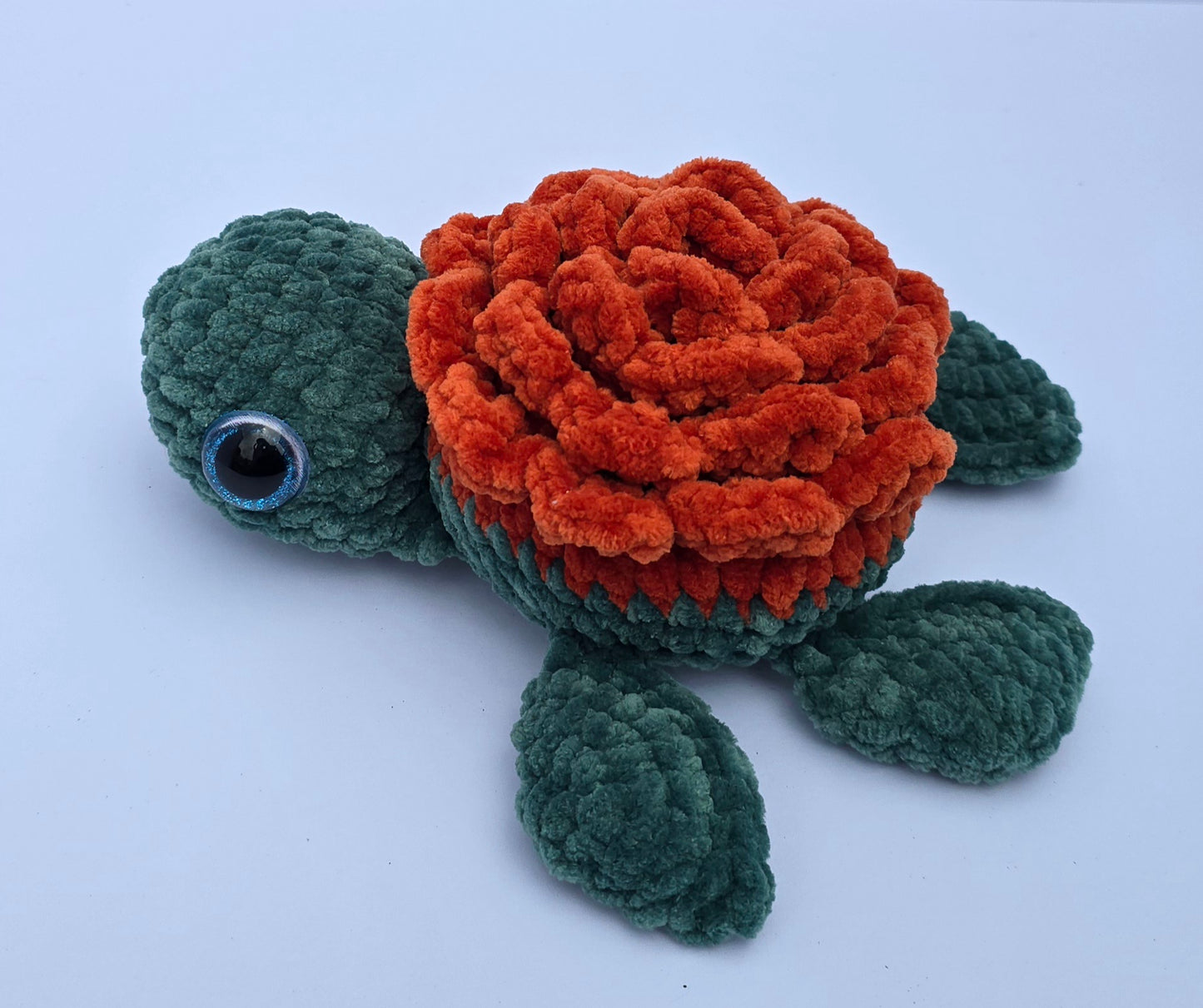 Medium Turtle