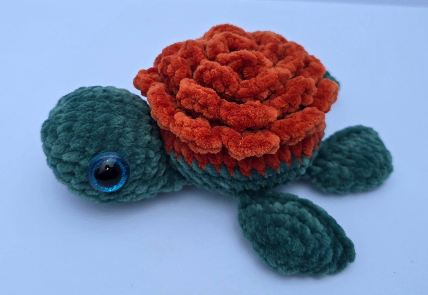 Medium Turtle