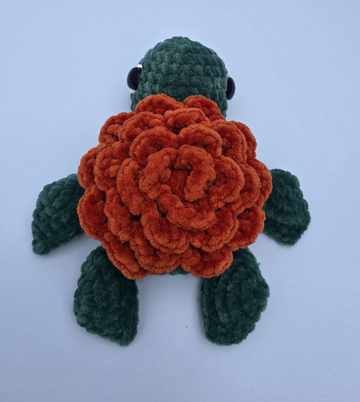 Medium Turtle