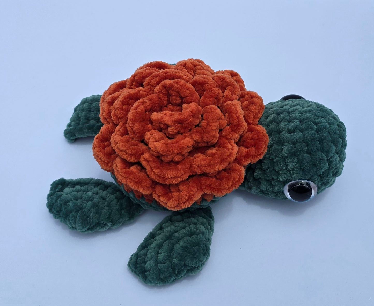 Medium Turtle