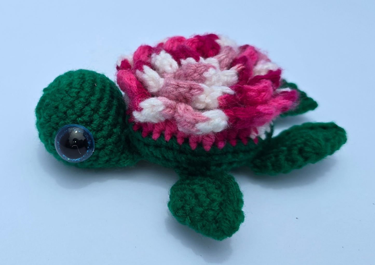 Small Turtle