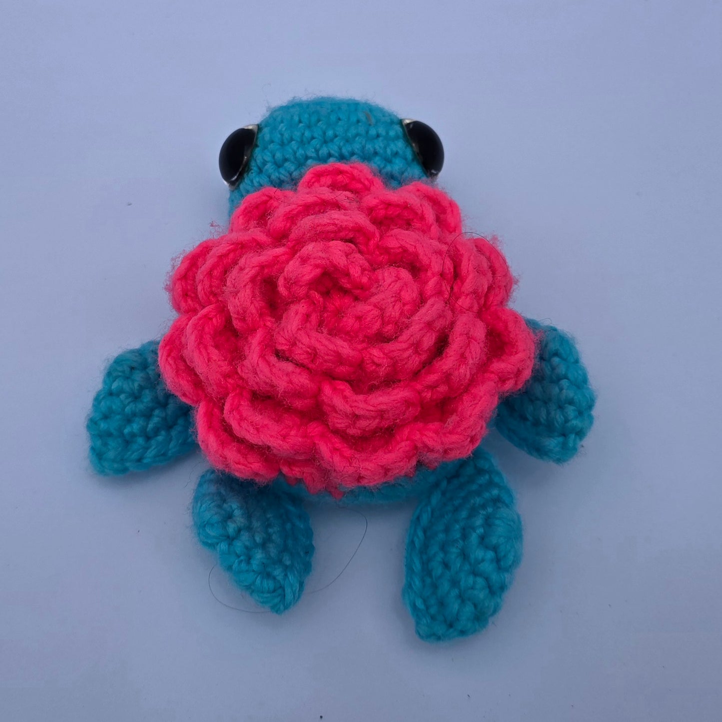 Small Turtle
