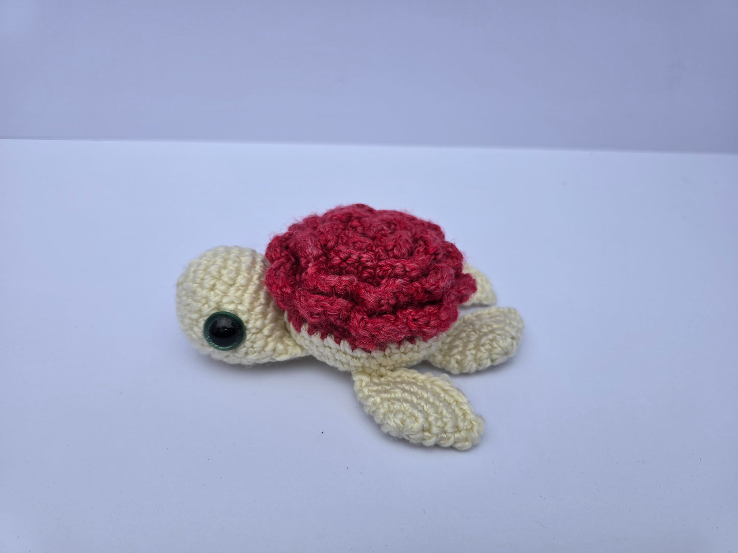 Small Turtle