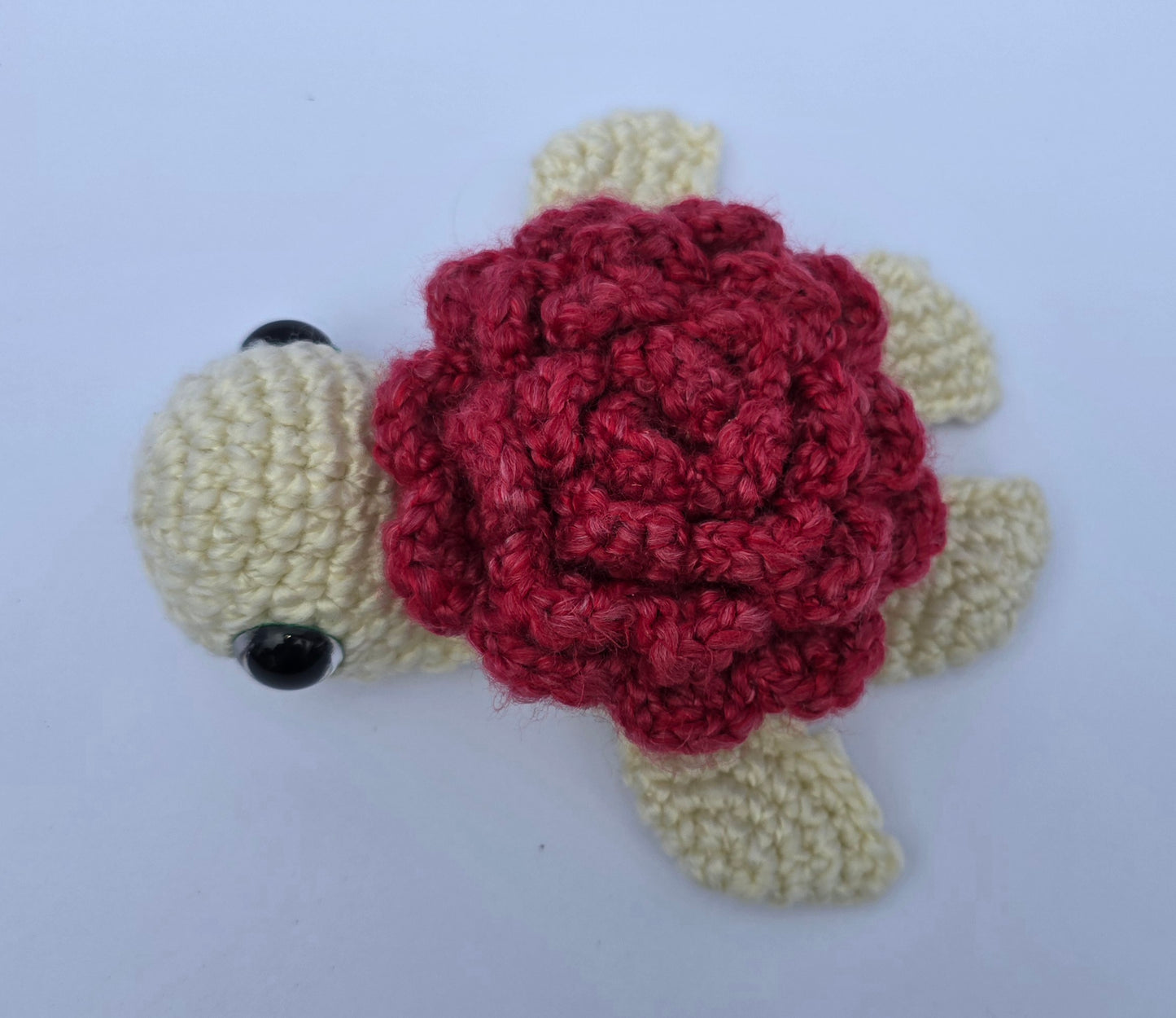 Small Turtle