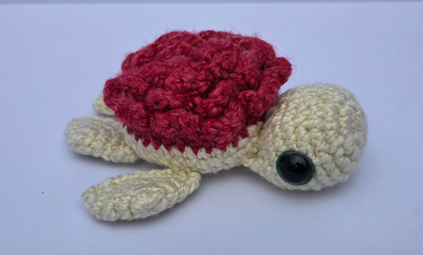Small Turtle