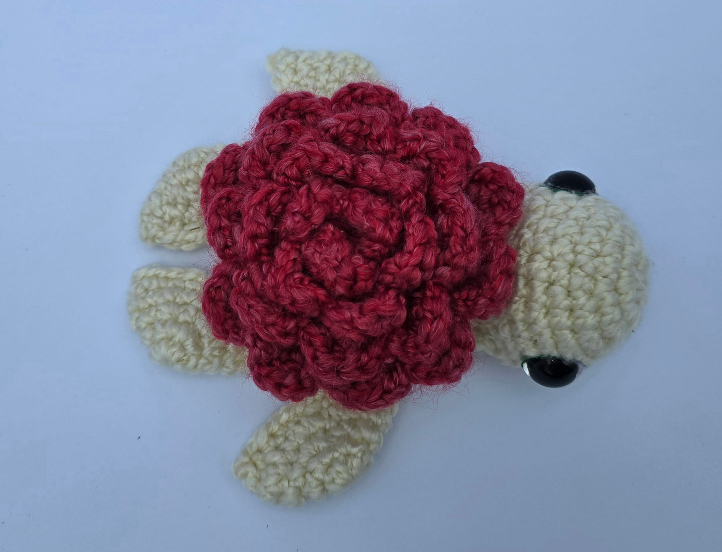 Small Turtle