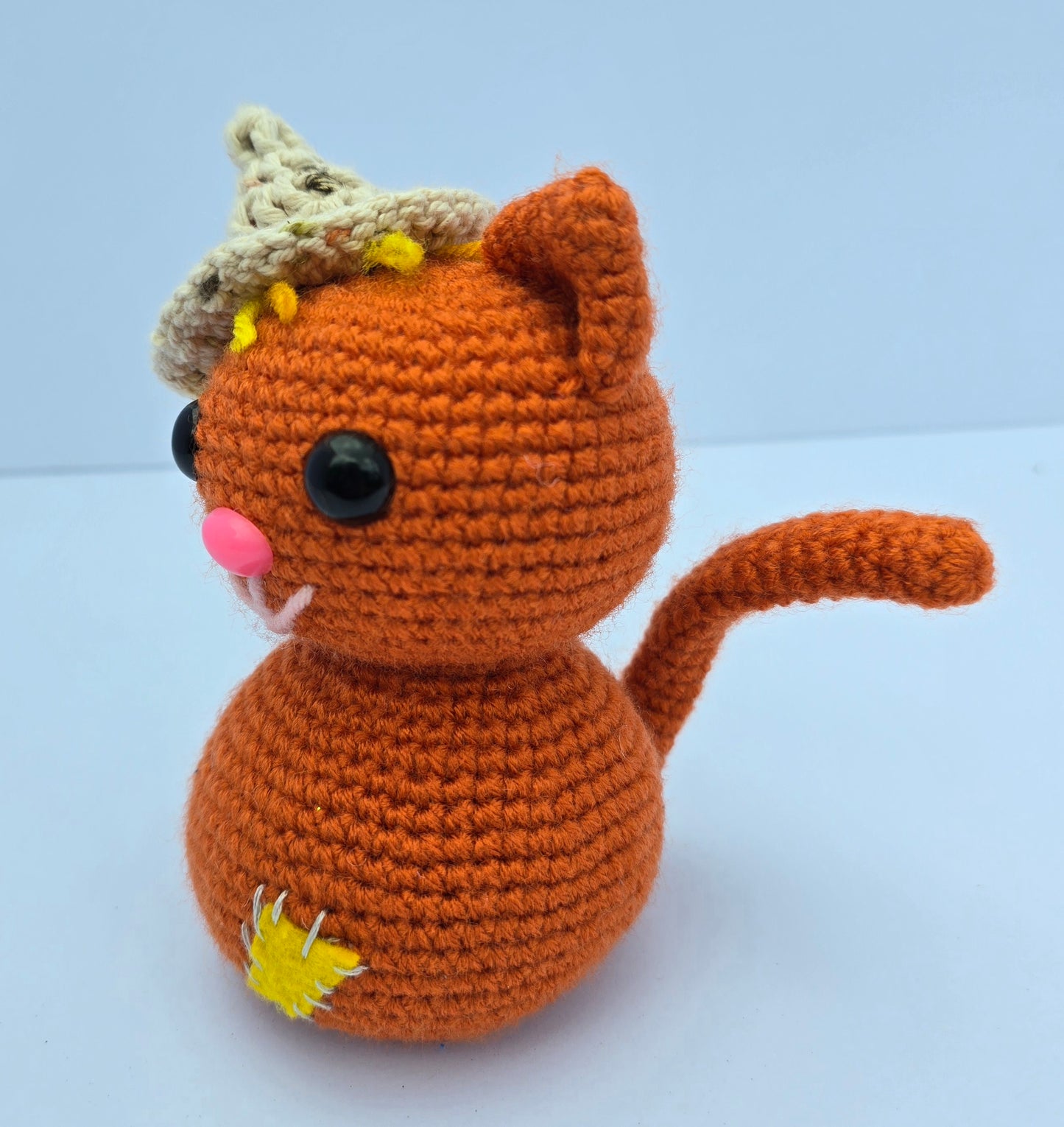 Scarecrow Cat