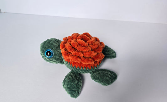 Medium Turtle
